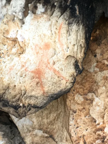 Bushman illustrated in rock art
