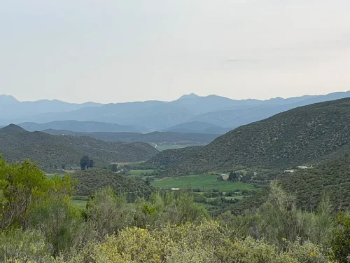 Green valley with mountain in the background