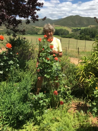 Maggie standing behind tall orange roses