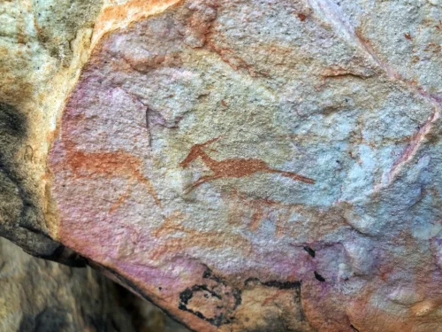 Rock art OudeMuragie Guest Farm